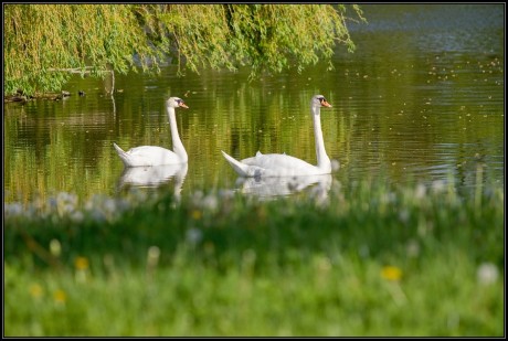 IMG_3900