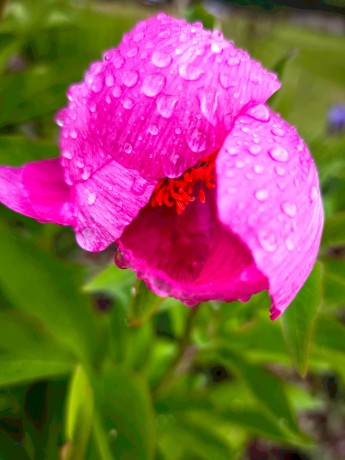 IMG_20250518_090524