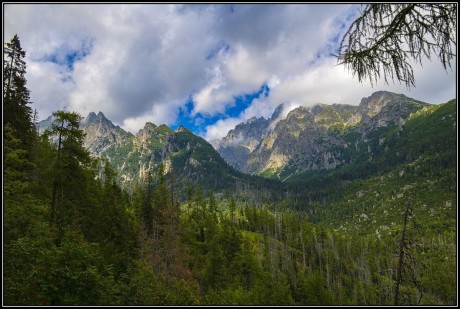 IMG_7287