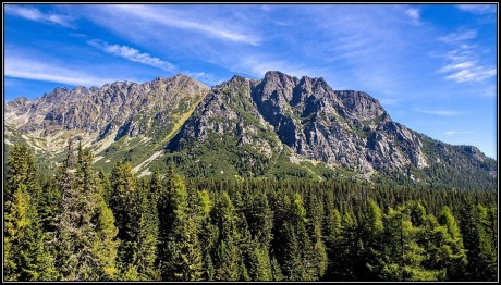 IMG_7481