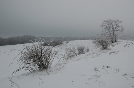 ledov_-krajina