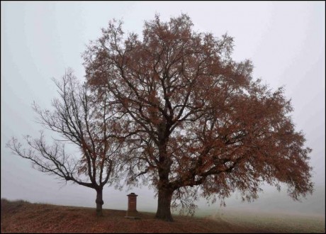 IVANČICE - U ČERVENÉHO KŘÍŽE