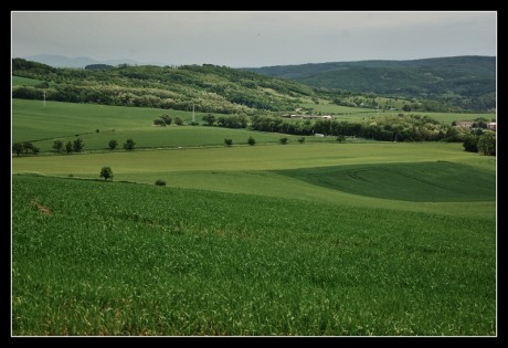 Červnová - 17