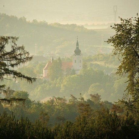 dsc_1190 (2)