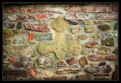 DSC_9503a