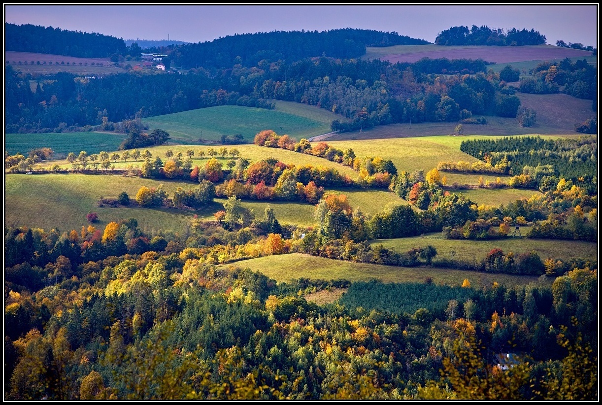 IMG_6462-DxO_DeepPRIME XD2s