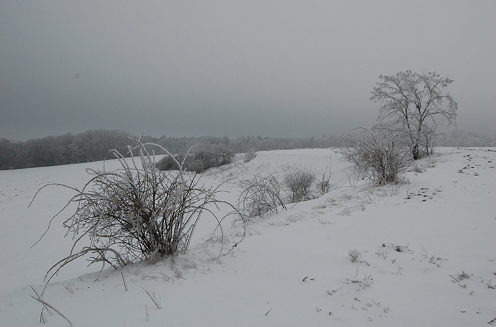 ledová krajina