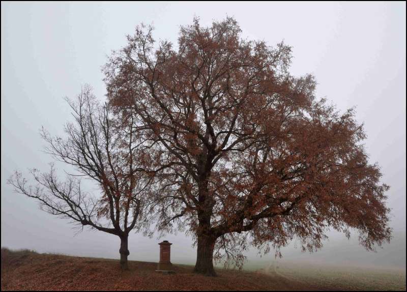 u červeného nekříže (2) (1)-800