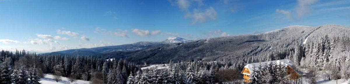 Šumava panorama