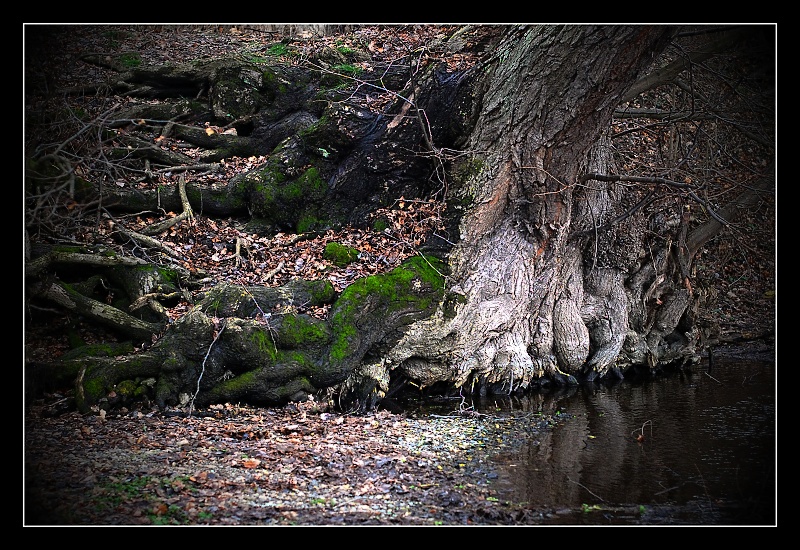 vycházka_2_2013_22