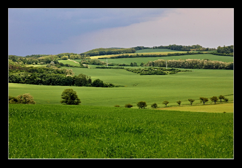 Červnová - 14