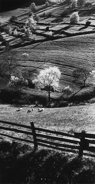 7 2.místo - A.Kostka - Andromeda Brumov-Bylnice - Jaro v Sidonii
