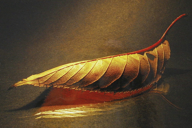 9 1.místo B.Randýsek - Vsetín - Macro 1