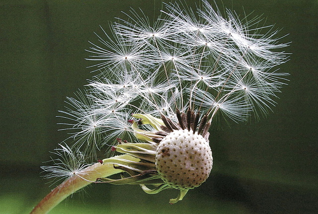 1.místo B.Randýsek - Vsetín - Macro 2