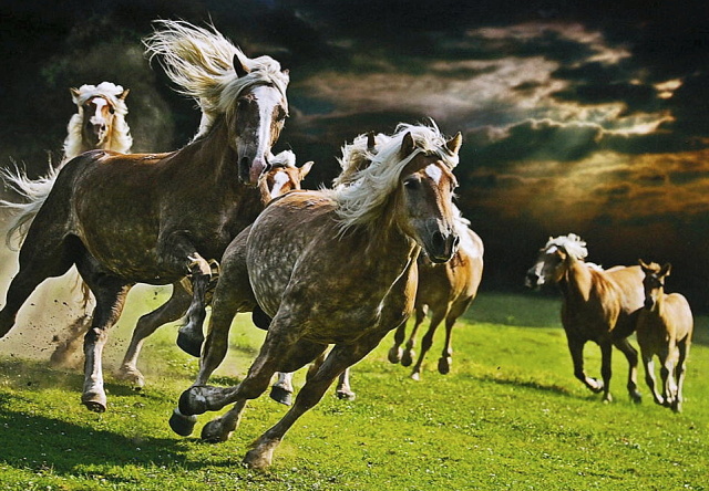 9 2.místo - L.Michelfeit - Zlín - Radost