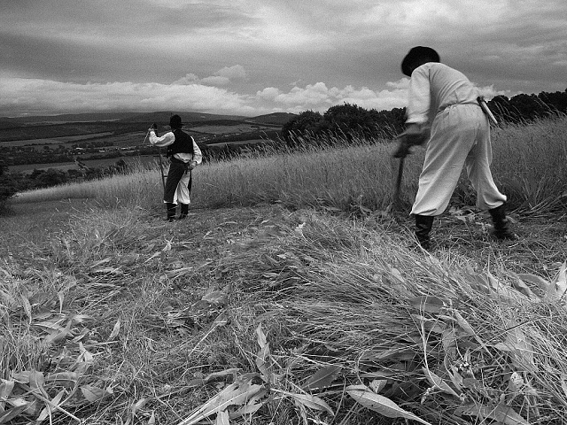 9 3.místo - Z.Zábranský - Uherský Brod - Malá Vrbka-kosení lúk