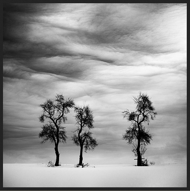 11 2.místo M.Tihleka - Rožnov - Trnky