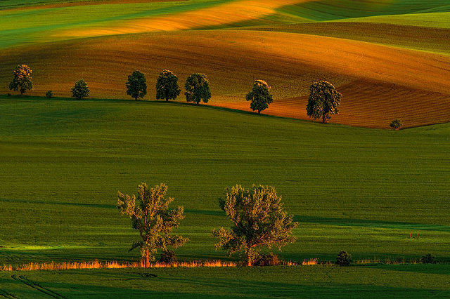 12 2.místo A.Kolovratník - KMF Brno