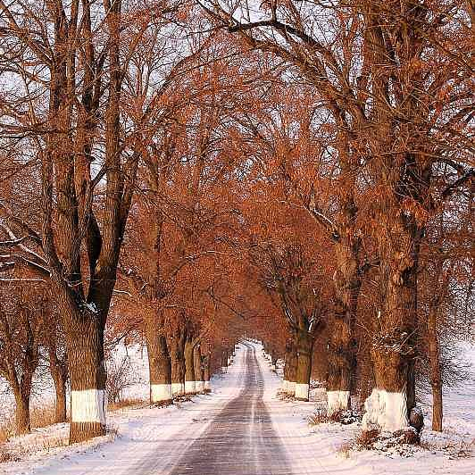 cesta na padochova