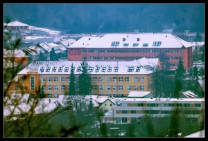 img_0286a.jpg