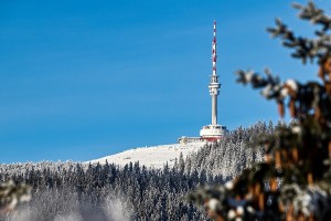 img_9958a.jpg