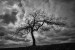 5-Kynclova_Gabriela-Brizka_u_Kratke