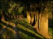 DSCN3216a (1)-800