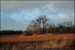 Hlína_Veselý_kopec-800
