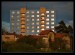 DSC_7870 (1)